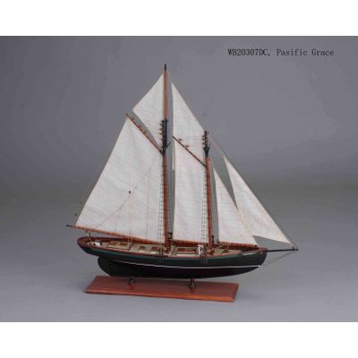 ship model --Pacific Grace