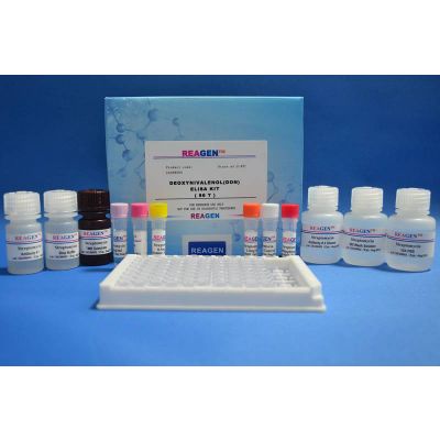 Sulfonamide ELISA Test Kit - REAGEN LLC