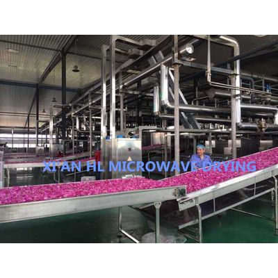 Tunnel Type Continuous Microwave Dehydration Machine