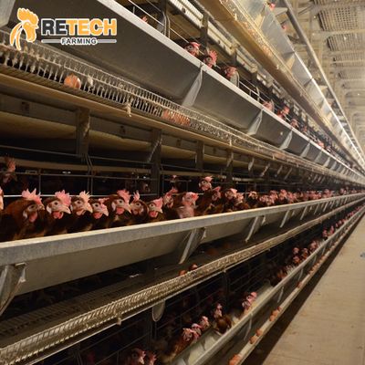 retech farming Factory Direct Supply H Type Full Automatic rearing equipment for chicken