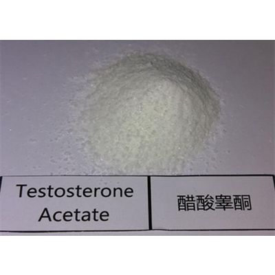 Testosterone Acetate/Test A /Test ace/ TA/ steroid raw powder 99% purity CAS1045-69-8