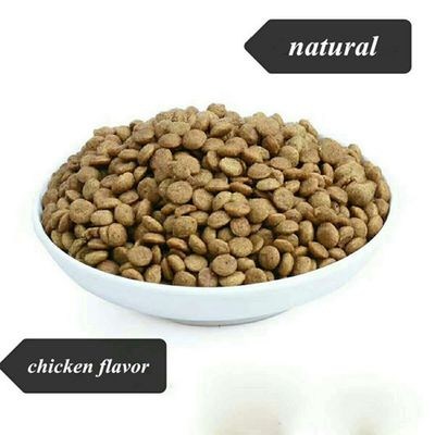 Natural PET Food