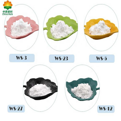Food Grade Powder Cooling Agent WS-23 Additive Intertek Halal Certificate used for mouth wash
