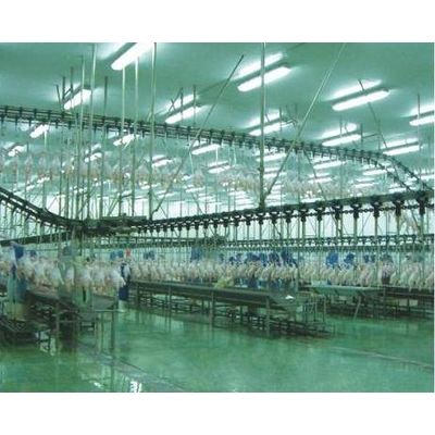 Supply poultry slaughtering machines and production line