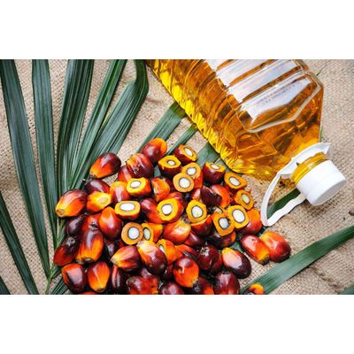 Palm Cooking Oil