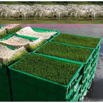 Sheep Cattle Hydroponic Barley Sprouting Machine for Sale