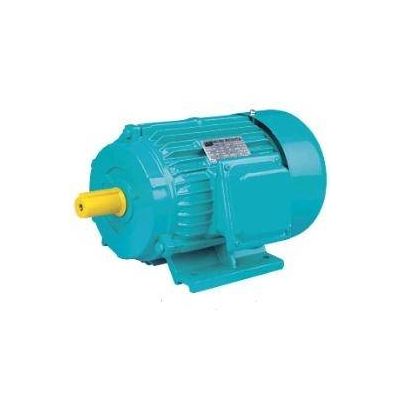 Y Series Three-phase Induction Electric Motor