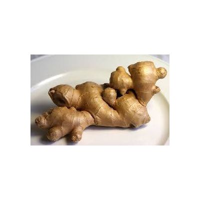 BEST PRICE OF GINGER FROM VIETNAM