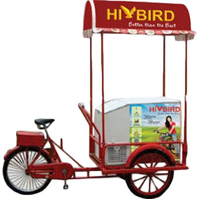 Normal tricycle with 208L solar freezer