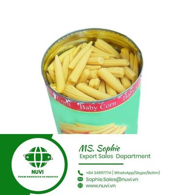 Canned baby corn/ Young corn whole spears