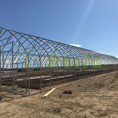 High quality commercial Hemp automated light dep deprivation blackout greenhouse