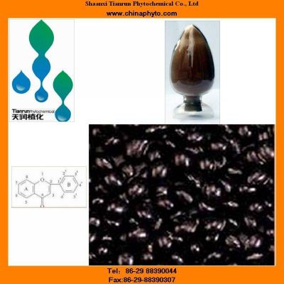 Black bean extract with Anthocyanidins