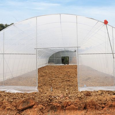 High Tunnel Single Span Single Layer Serre Agricultural Greenhouses Plastic Film For Tomatoes