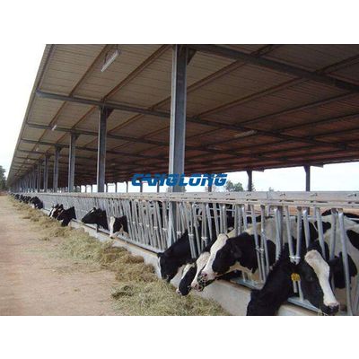 Low Price Light Steel Structure Cow Shed H-Beam Prefabricated Building