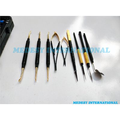Dental Micro Oral Surgery Instruments Kit Rotatable Scalpel Handle Probe 13 Pcs