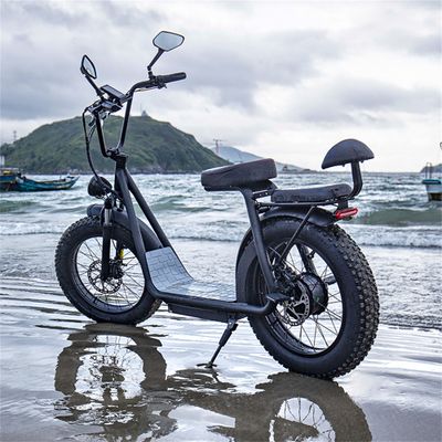Big Wheel 1000W 20inch electric scooter for adults with offroad tire