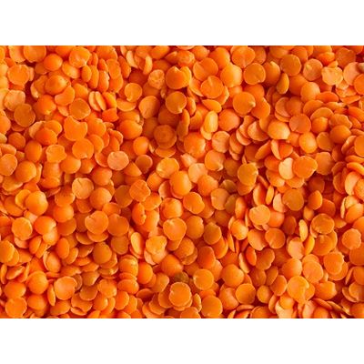 high quality grade red and yellow lentils whole sale supplier
