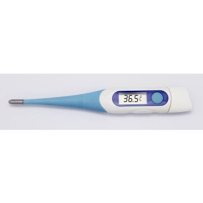 10 seconds Electronic thermometer