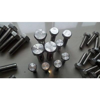 Incoloy825 hex bolt