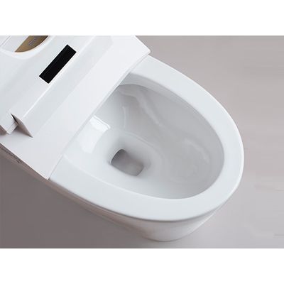 [SSWW] Smart Toilet