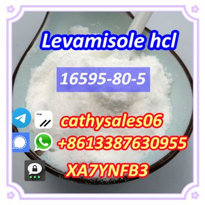 Levamisole HCl CAS 16595-80-5 with factory Price Levamisole Hydrochloride