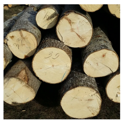 Wholesale Pine, beech Hardwood timber wood Ash logs, oak wood logs for supply
