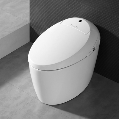 China new design good sell ceramics intelligent smart toilet supplier
