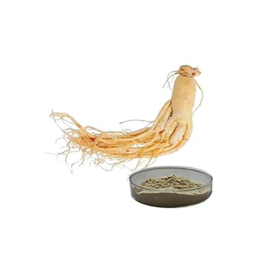 80% Ginsenosides Panax ginseng root Ginseng root ginseng extract