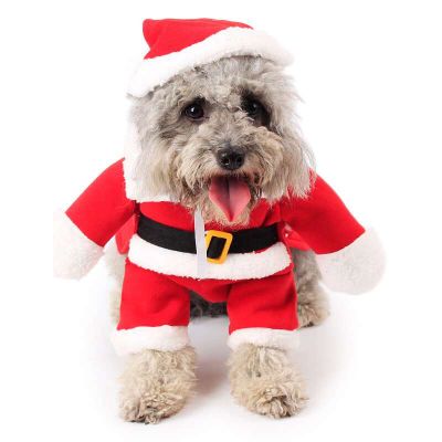 Dog Christmas Costumes Manufacturer Pet Standing Up Costume Set