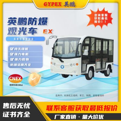 GYPEX explosion-proof electric sightseeing car petrochemical plant park luxury seats open closed