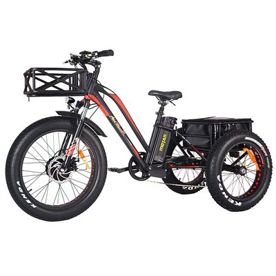 Addmotor MOTAN M-350 P7 Electric 3 Wheel Bike Trike