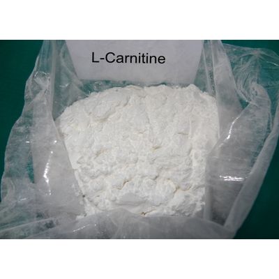 CAS 541-15-1 Slim Beauty L-carnitine Powder USP with 97-103% purity for Weight-Loss powder