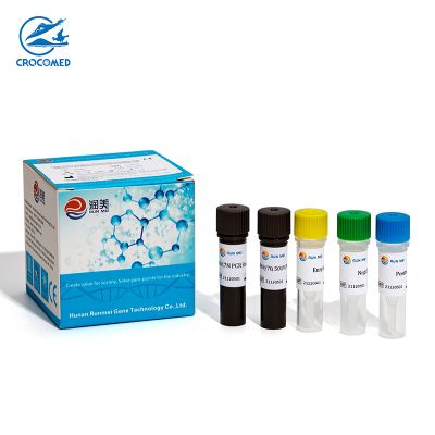 Omicron SARS-CoV-2 Variants Identification Nucleic Acid Detection Kit (Fluorescence RT-PCR Method)