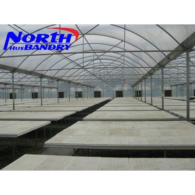 Commercial Greenhouse for agriculture
