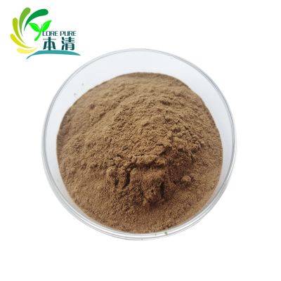 Supply high quality Chaga Mushroom Extract Polysccharide 10%-50%