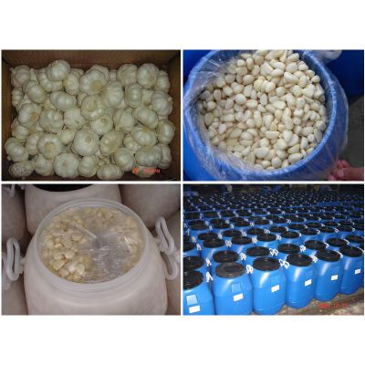 Salted Garlic Clove