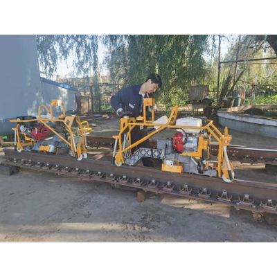 Rail profile grinding machine for trackwork