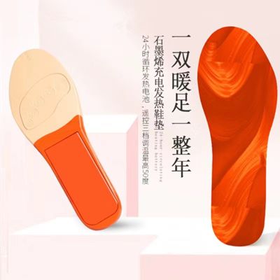 Magnetic removable heating insole