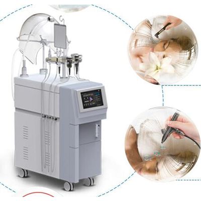 New 12 in 1 Oxygen Infusion oxygen facial Skin Care Machine