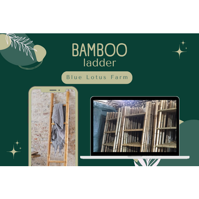 HOT PRICE BAMBOO LADDER FROM BLUE LOTUS FARM VIETNAM