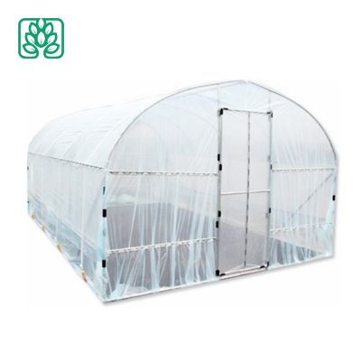 China Single Layer and Film Cover Material Customized Greenhouse
