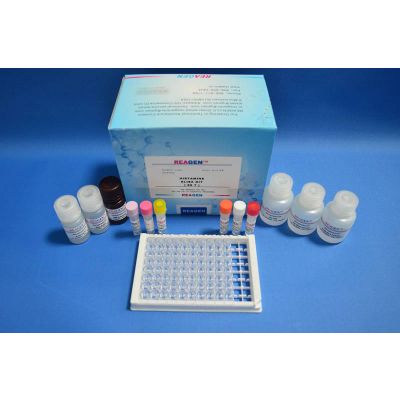 Salbutamol ELISA Test Kit - REAGEN LLC