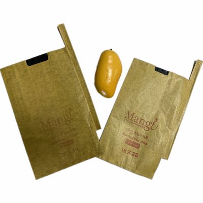 fruit protection mango growing paper bag