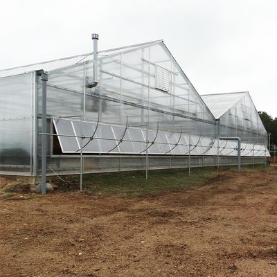 8mm PC Panels Industrial Commercial Polycarbonate Sheet Agriculture Multi-span Greenhouse For Flower