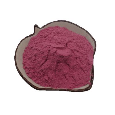 OEM Blackcurrant powder Plant Extracts