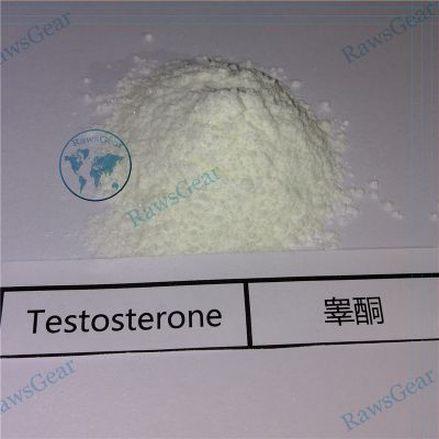 Testosterone Base (Testosterone Suspension 100mg/ml) CAS 58-22-0
