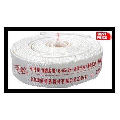 65mm 8Bar PVC Lining Fire Hose with Couplings in Vietnam