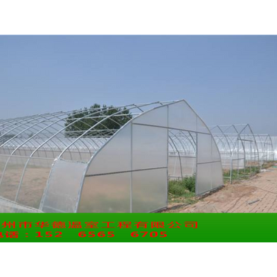 Tunnel type greenhouse