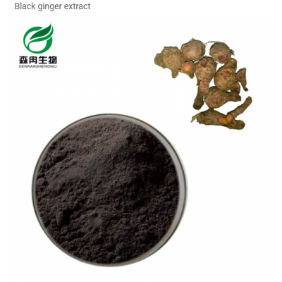 Black ginger extract powder health powder