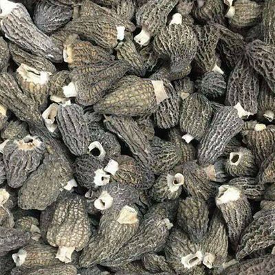 3-5CM Wild Dried Morel Mushrooms without fully stem
